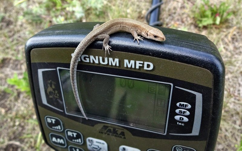 На копе начинаешь верить во все приметы, лишь бы удача была повернута нужным местом.