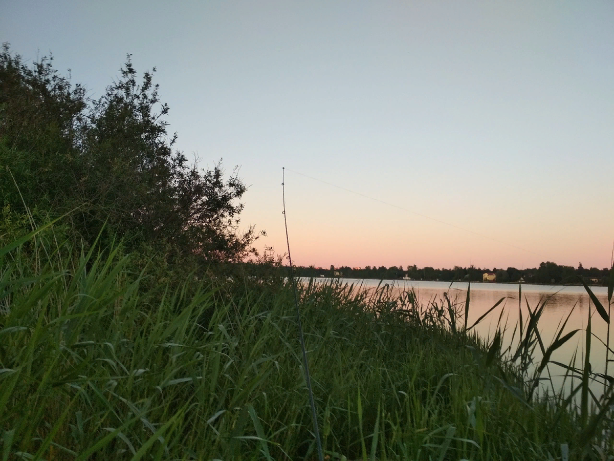 В ожидании поклевки