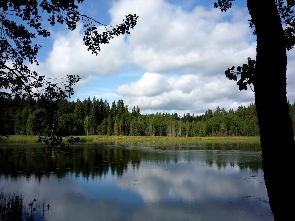 Источник фото: https://yandex.ru/collections/card/5aa8dd83d7f77d4249fe9134/