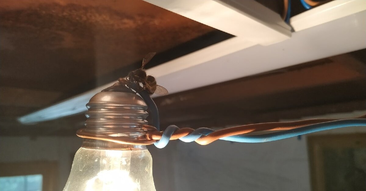 Фото из открытых источников