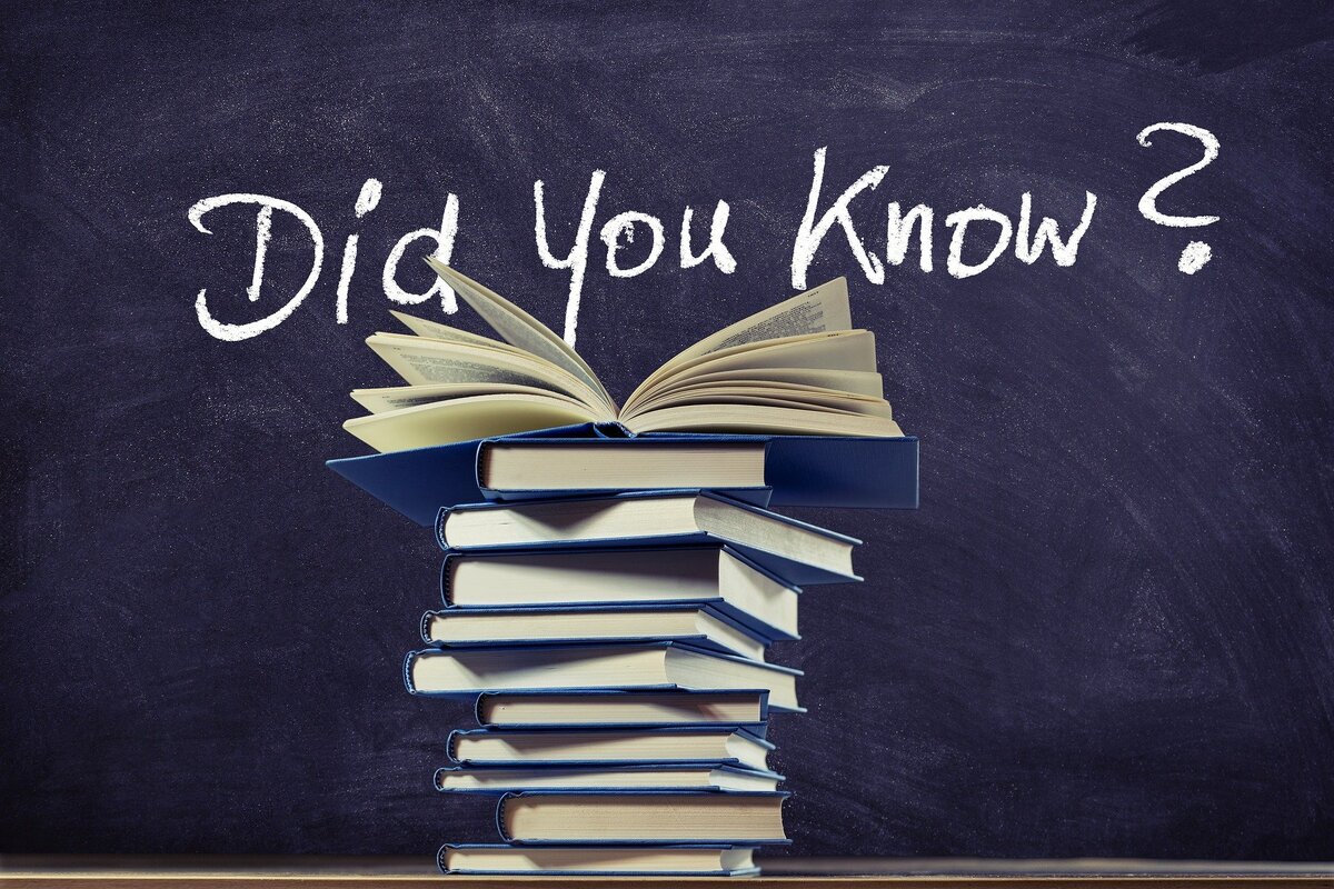 Фото с сайта Pixabay 