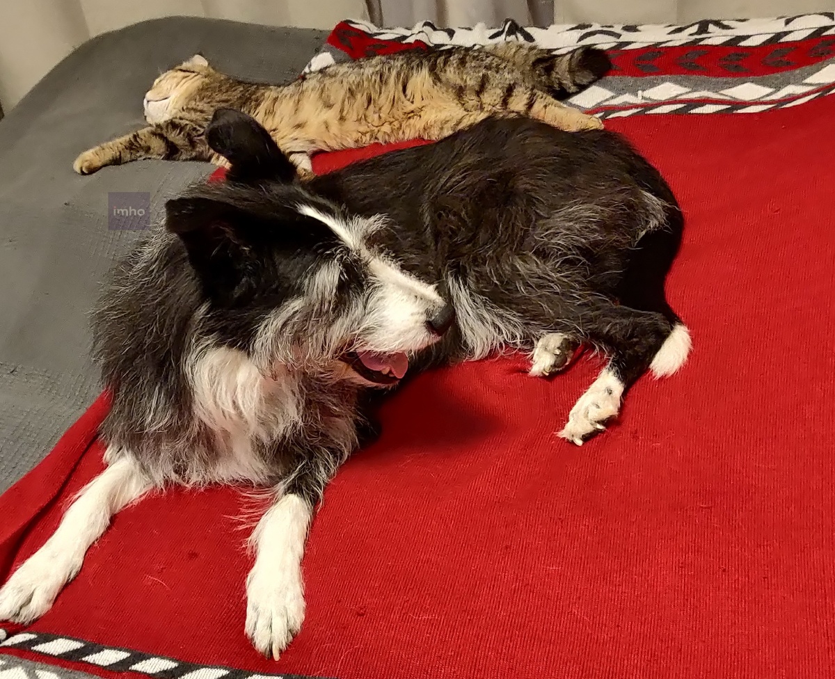 Аксель и Джуля отсыпаются после вояжа