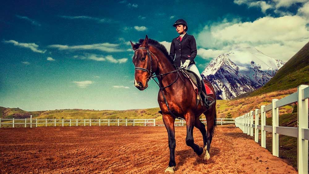 5 фактов о пользе верховой езды | Начни с тренировки | Дзен