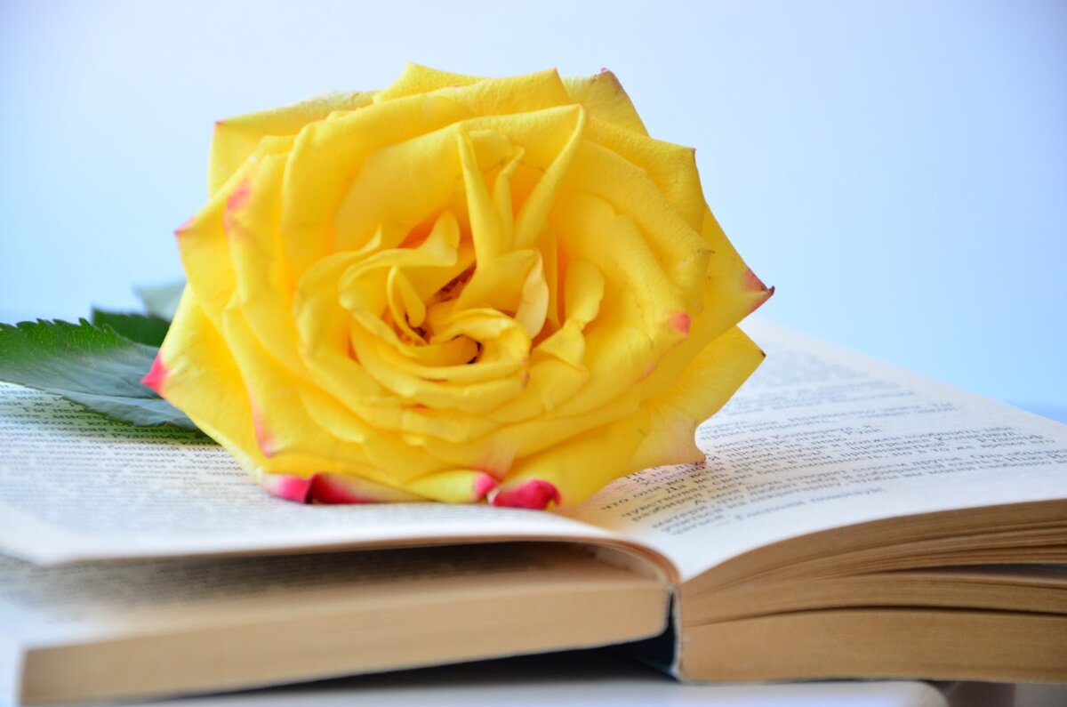 Фотография взята из открытых источников.