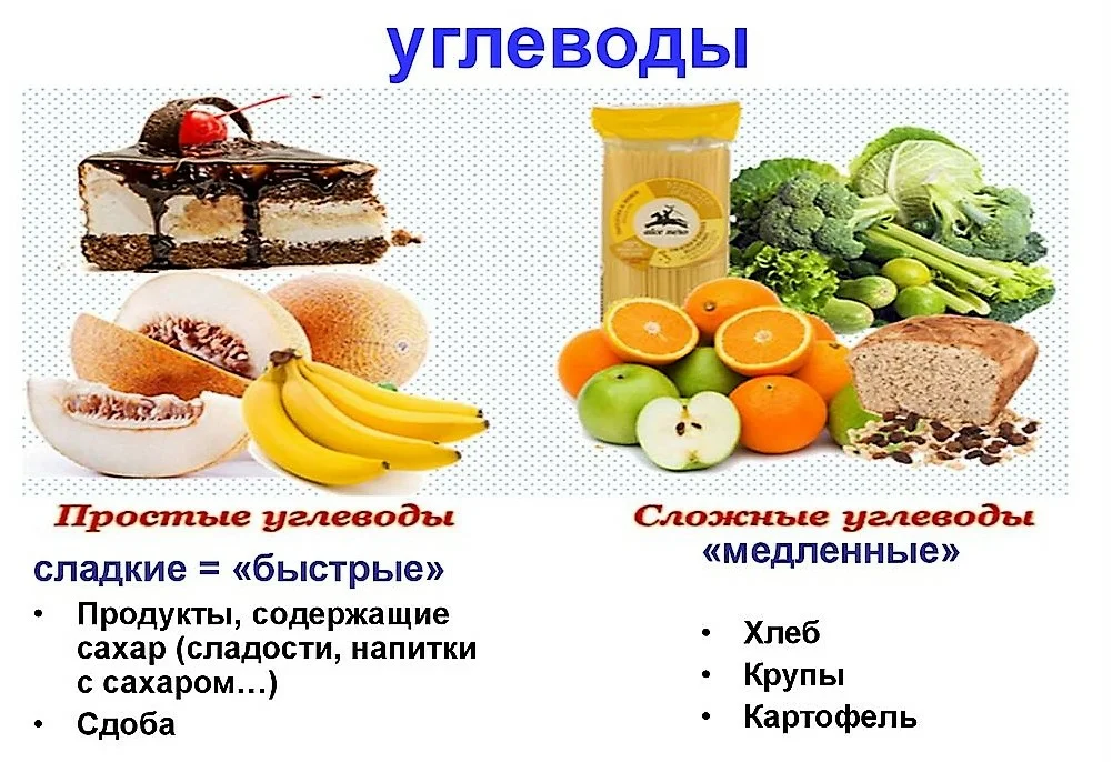 Простые углеводы (т.е. сахара) состоят из одной или двух молекул сахара и имеют простую молекулярную структуру, что и объясняет их название. Сложные углеводы, в отличие от простых, очень медленно усваиваются организмом, не вызывают резких скачков инсулина. Сложные углеводы включают в себя крахмал, гликоген, клетчатку и пектины.
