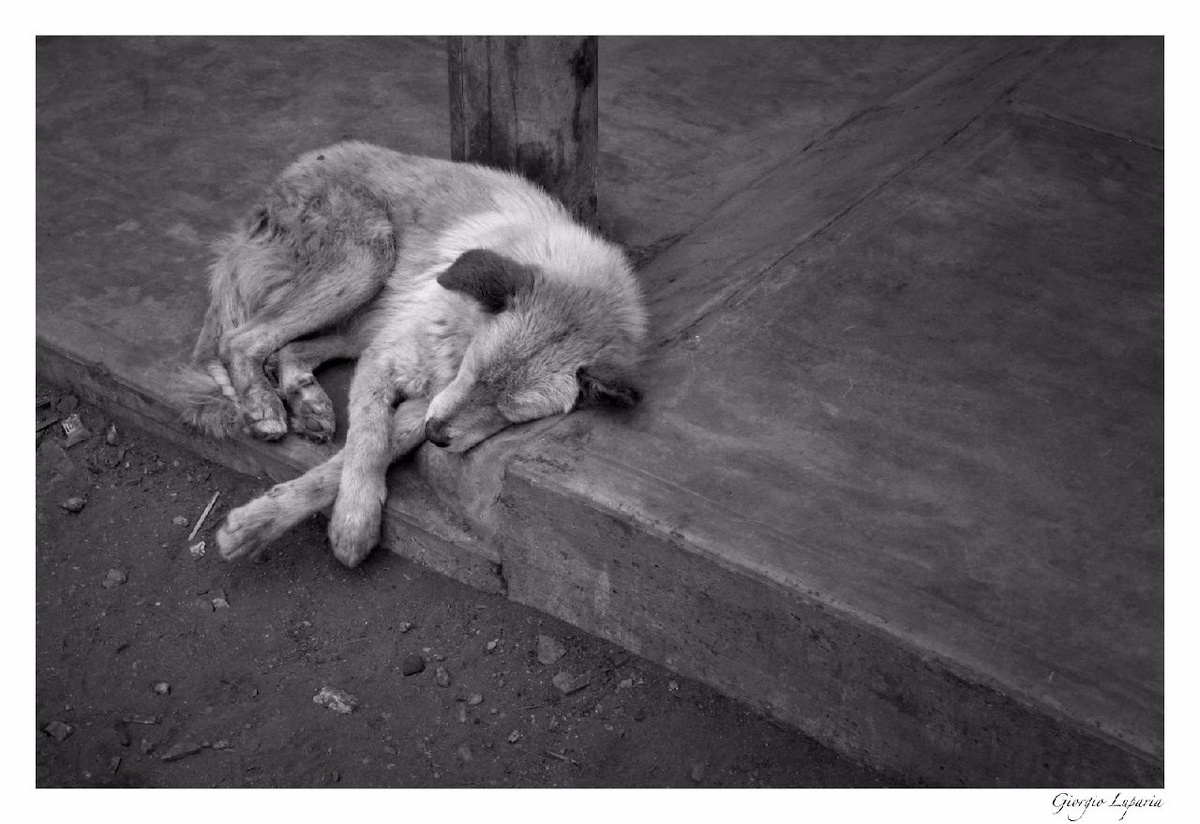 Фото из свободного доступа сети интернет