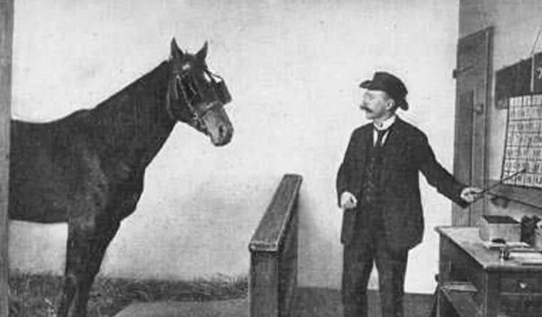 Источник всех фото сайт Яндекс картинки