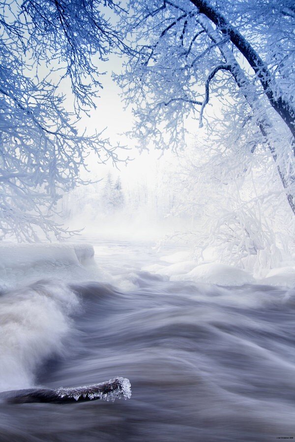 Фото из интернета.  Я так красиво не умею.