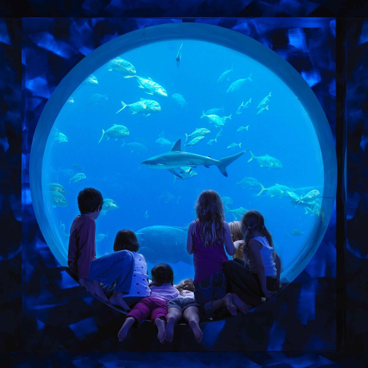 Семейный отель Atlantis the Palm 5