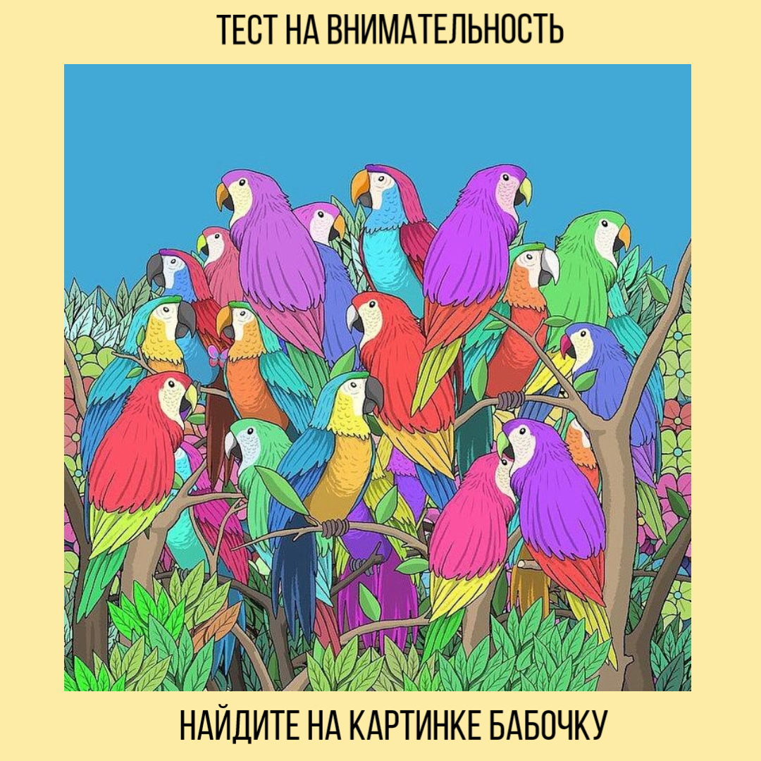 Тест на внимательность. Найдите на картинке бабочку