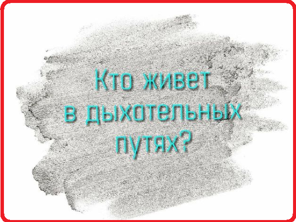 Кашель