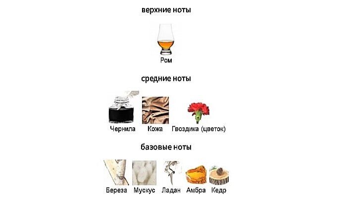 Ноты мускуса Ноты мускуса