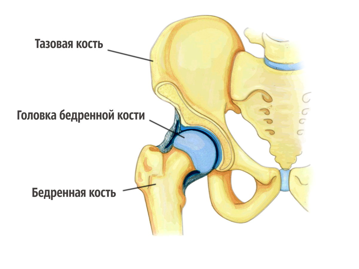 Селфи девушек с раздвинутыми ногами