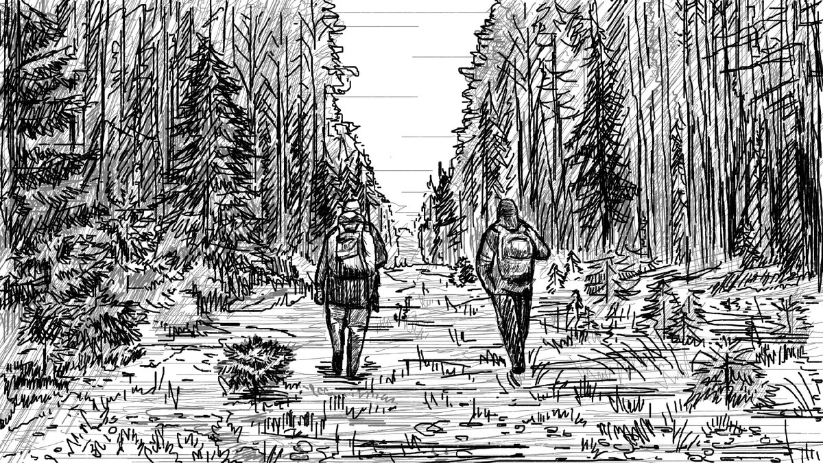 "лес" (рисунок Ирины Орловой)