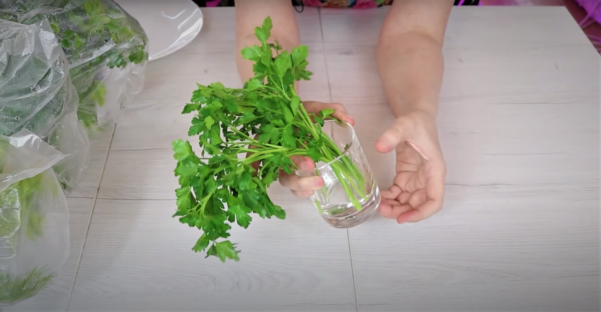 Подписывайтесь и ставьте "палец вверх"! Комментарии приветствуются!