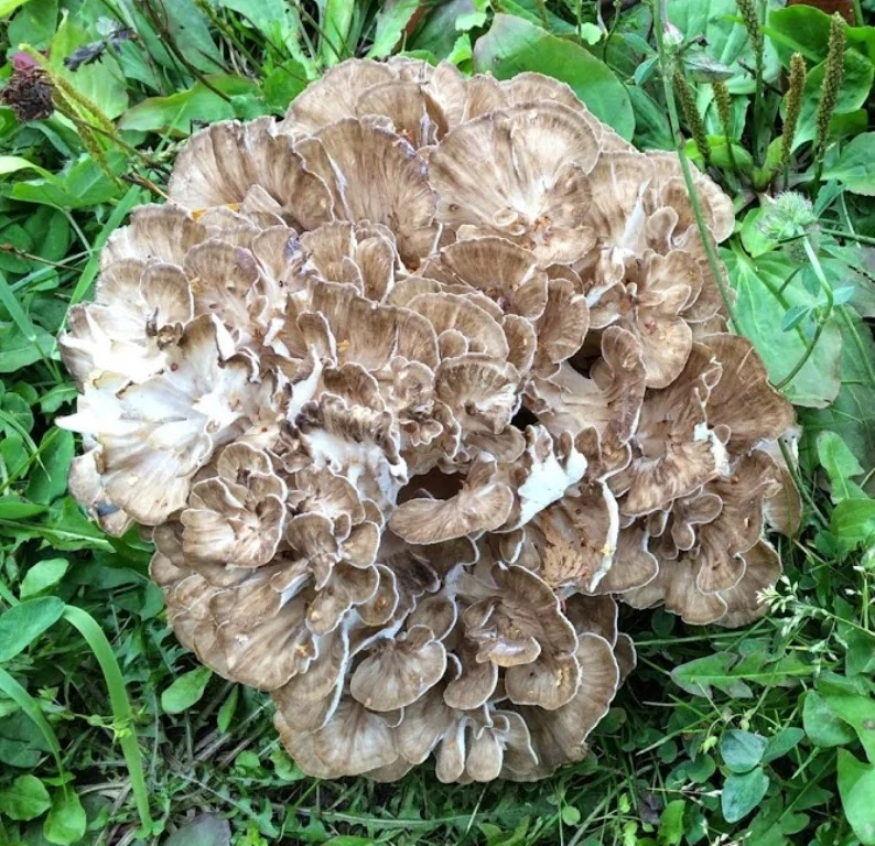 Фото из семейного архива автора