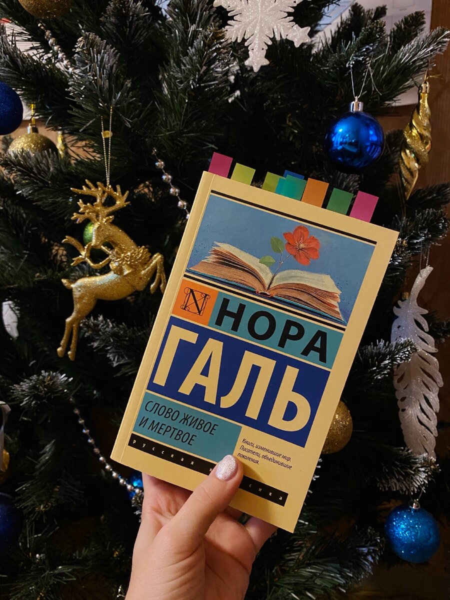 В честь наступающего праздника фото книги в новогоднем стиле)