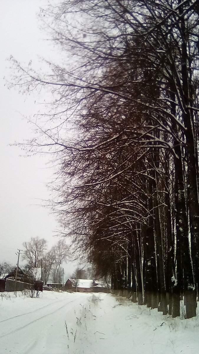Сквер в Кувшиново