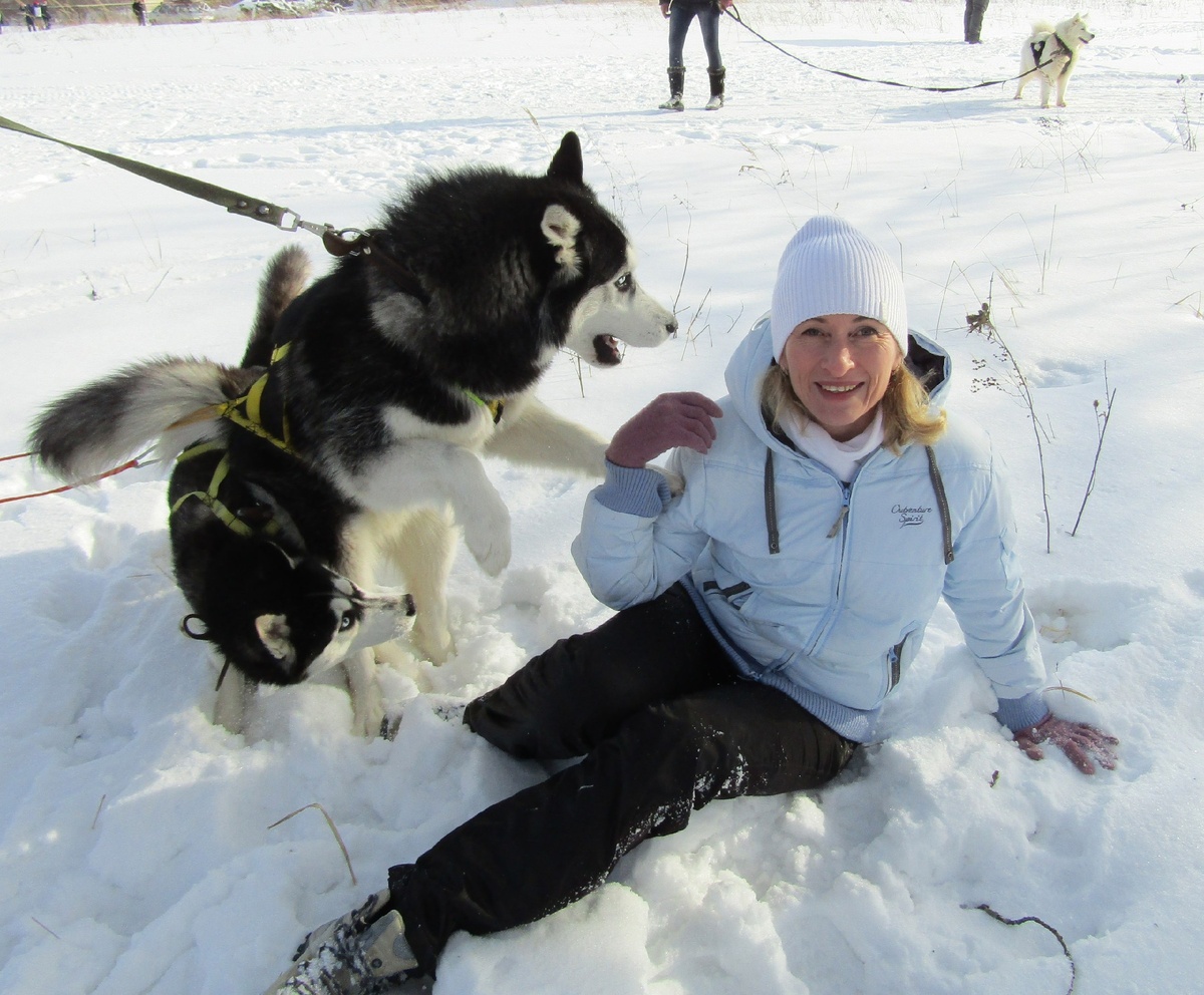 У лыжной базы года два назад - на мероприятии "Лыжня России" были и заезды на санях с хаски