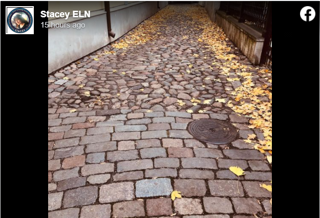 На cкриншоте видно, что брусчатка (sett paving)  - на переднем плвне - отличается внешне от мощения булыжником (cobblestone paving)