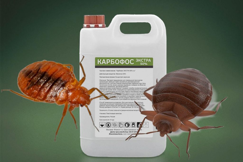 Один из самых распространенных инсектицидов