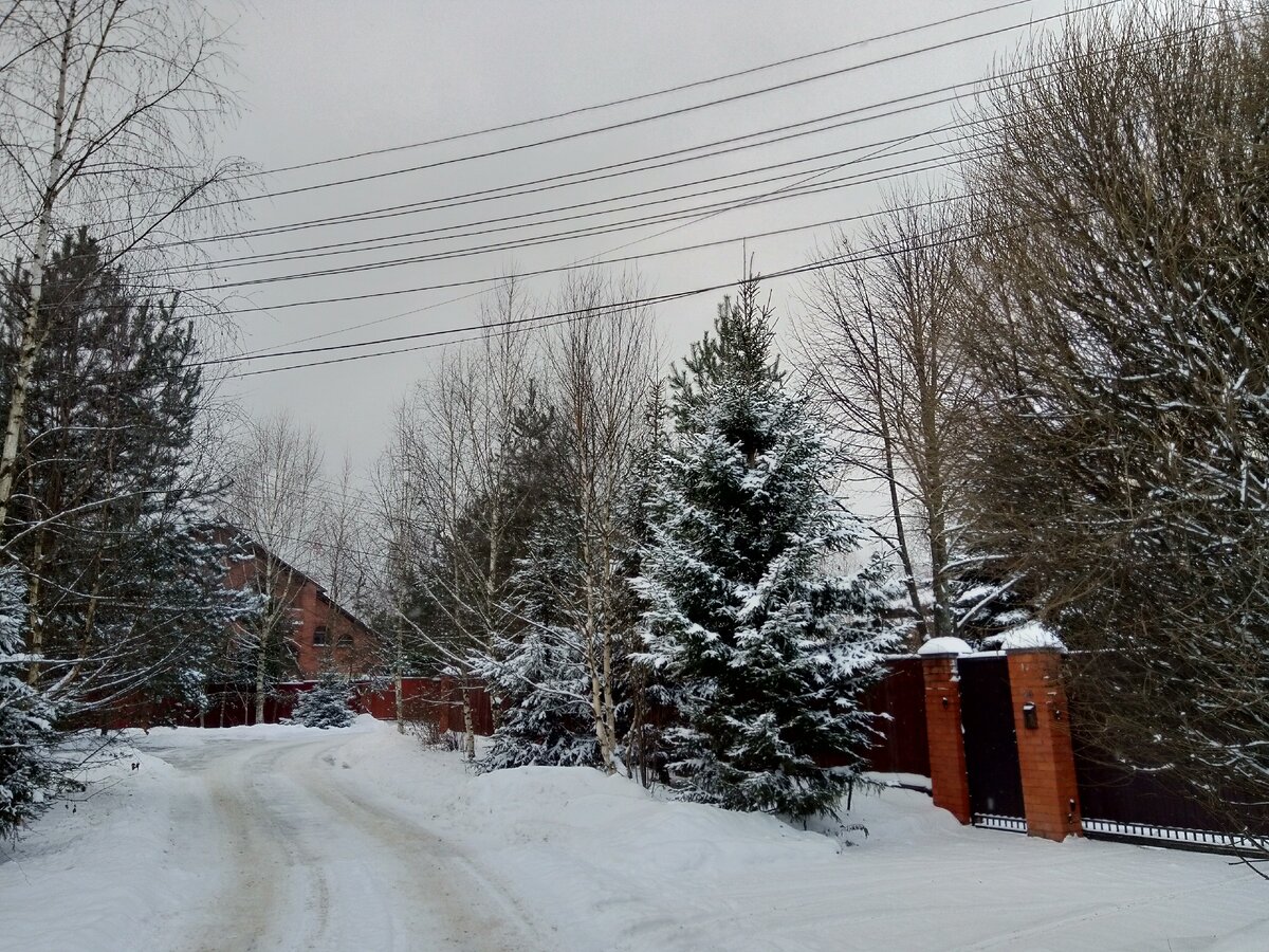 Фото автора. Зима в Подмосковье...