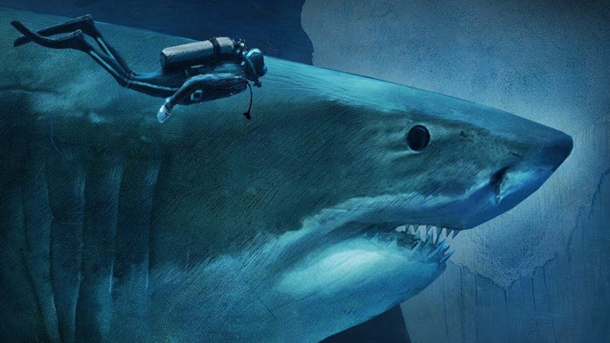  Взято из сайта яндекс