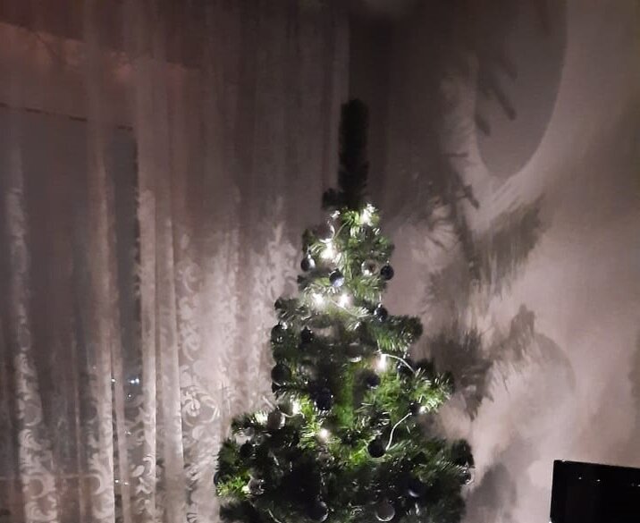 Новогодняя ночь, Preview 