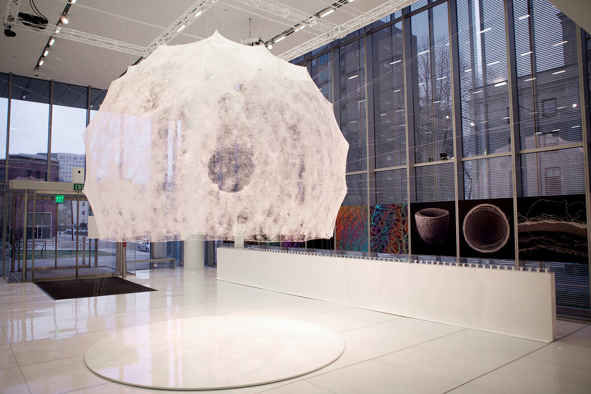 Шелковый павильон. Источник: https://www.behance.net/gallery/65096955/Silk-Pavilion?tracking_source=search%7C 