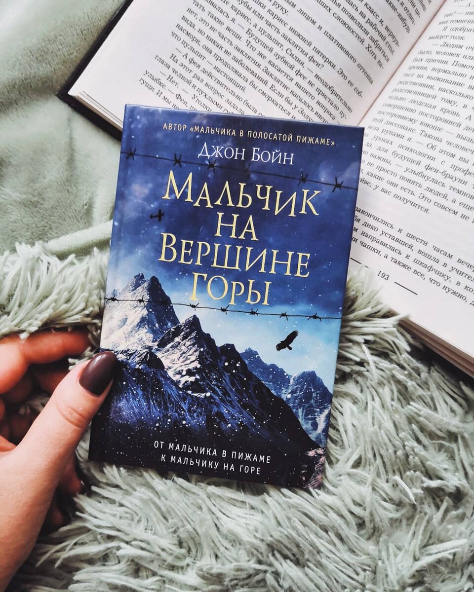 книга на вершине горы. мальчик в полосатой пижаме и мальчик на вершине горы. мальчик на вершине горы джон бойн. книга на вершине горы. джон бойн мальчик на вершине горы.
