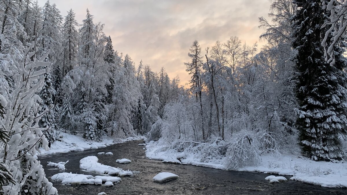 Линдуловская роща