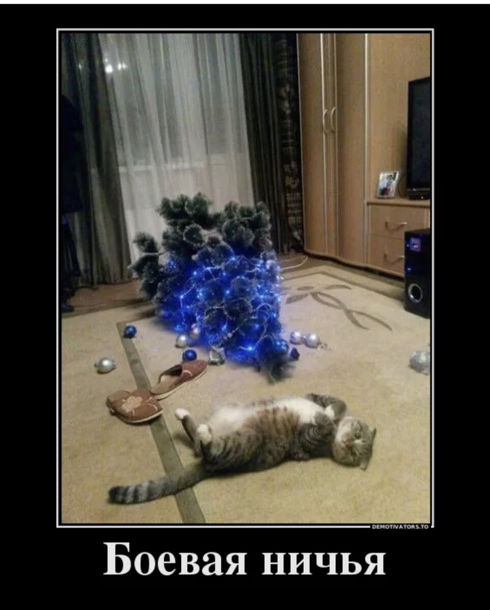 Кот завалил елку