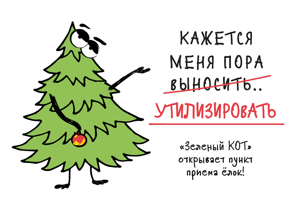 Куда деть новогоднюю елку? | Путешествуй по России со смыслом | Дзен