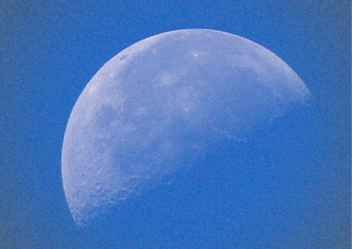 Диафрагма f/8, выдержка 1/640, ISO-400, фокусное расстояние 300 мм 