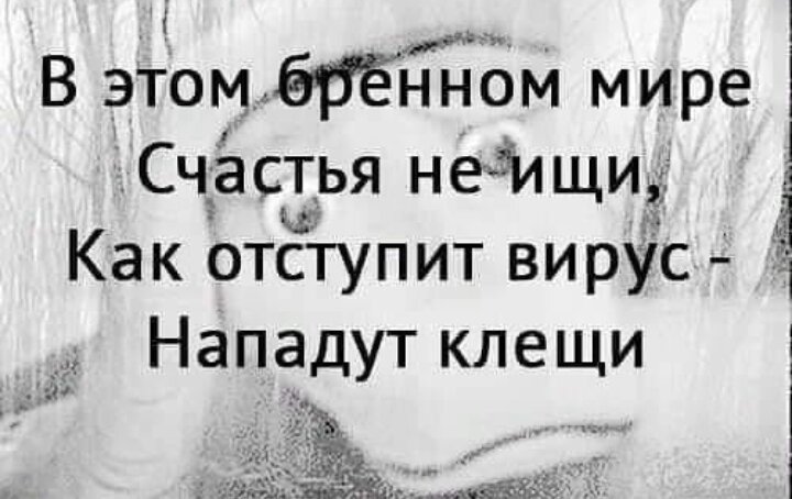 Бренный мир это. В этом бренном мире счастья не ищи как отпустит вирус. В этом бренном мире счастья не. В этом бренном мире счастья не ищи. Бренный мир.