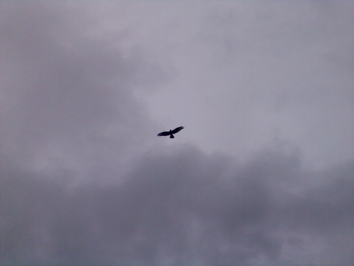 Время – ресурс коварный! 