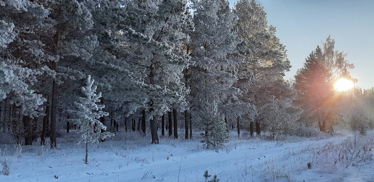 Просто дорога...