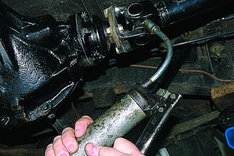 Яндекс картинки 