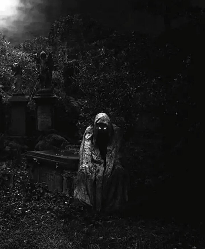 Картинка из интернета