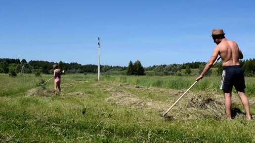 Наш первый сенокос со своей техникой. Посадили поле люцерны