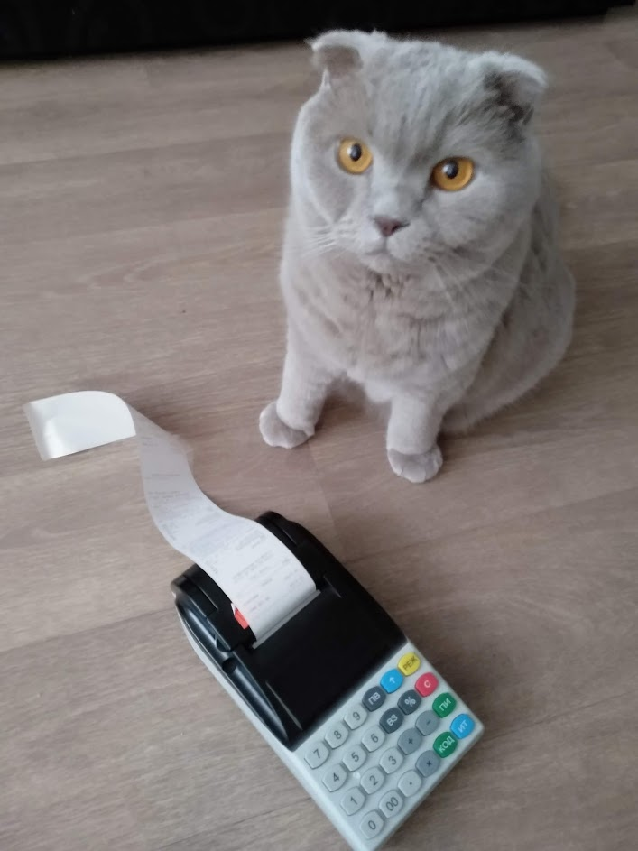 А кот может быть продавцом? ;)
