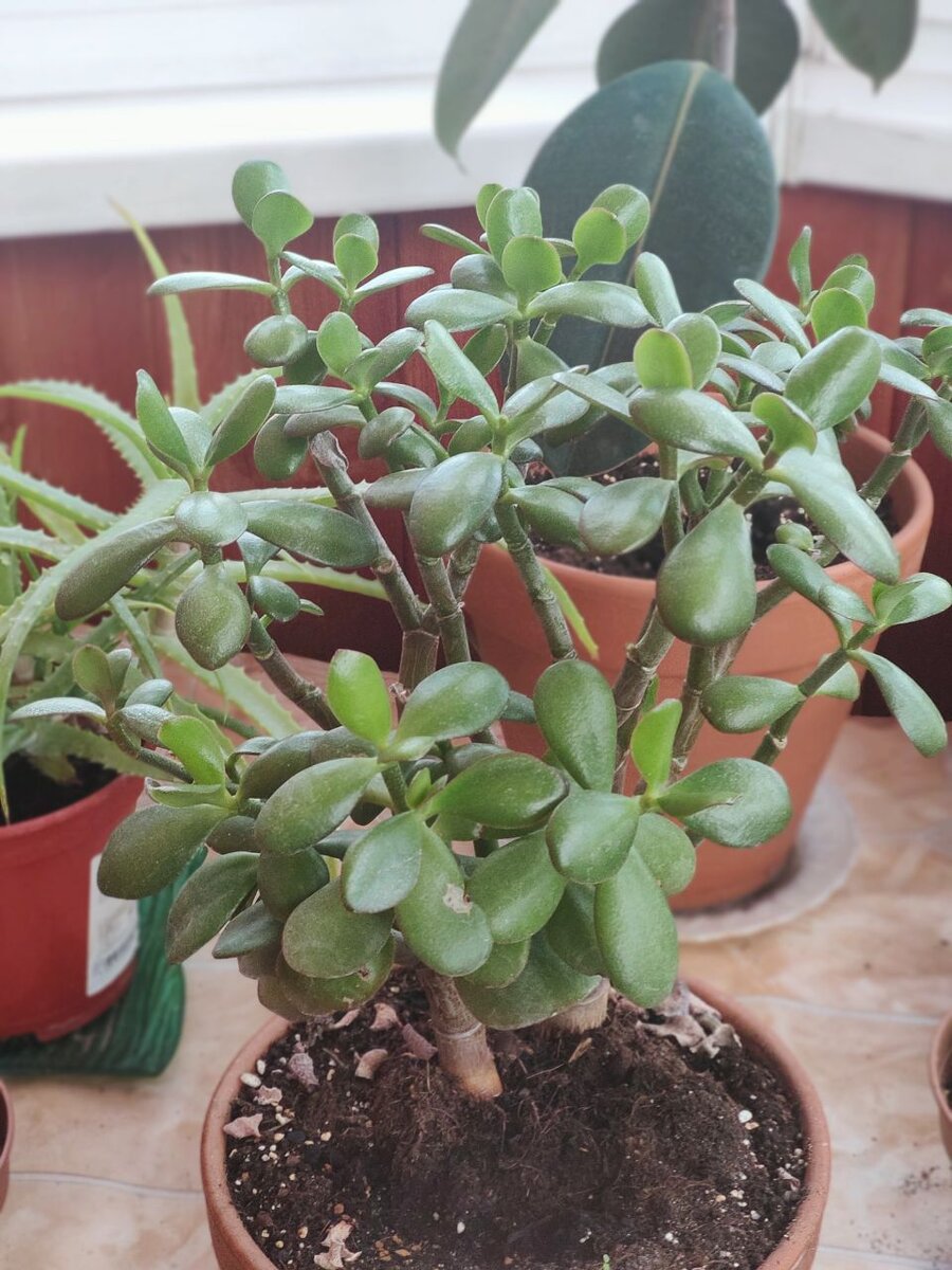 Фото из архива автора