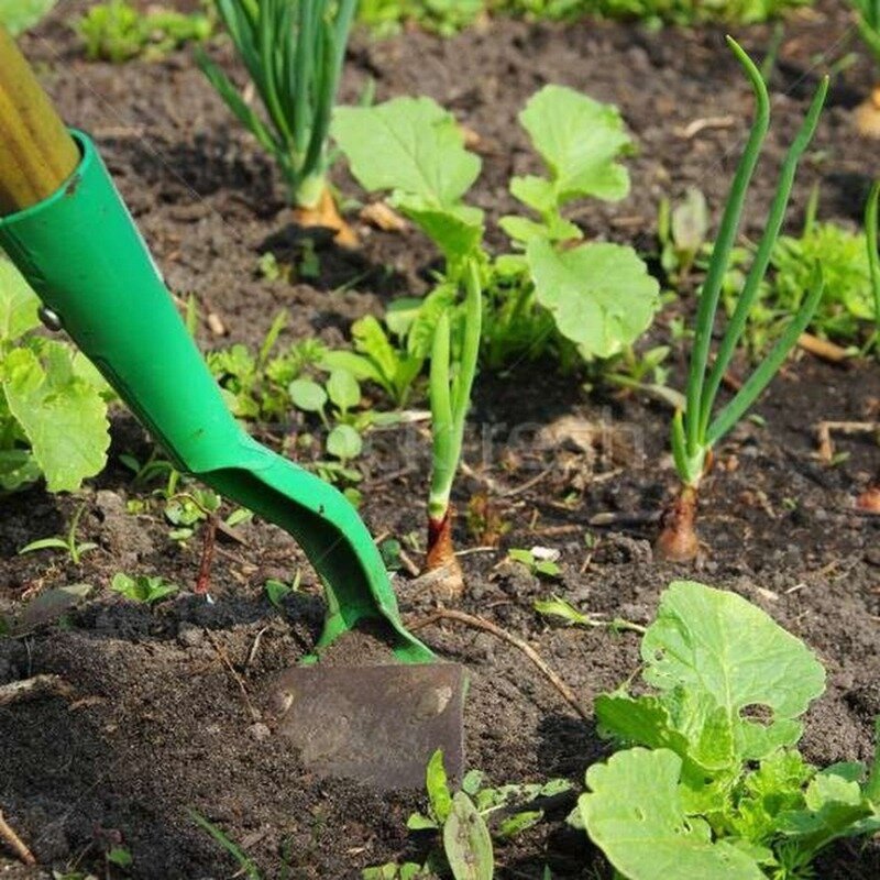 Фото instagram.com/p/CNfjgdFlayW/