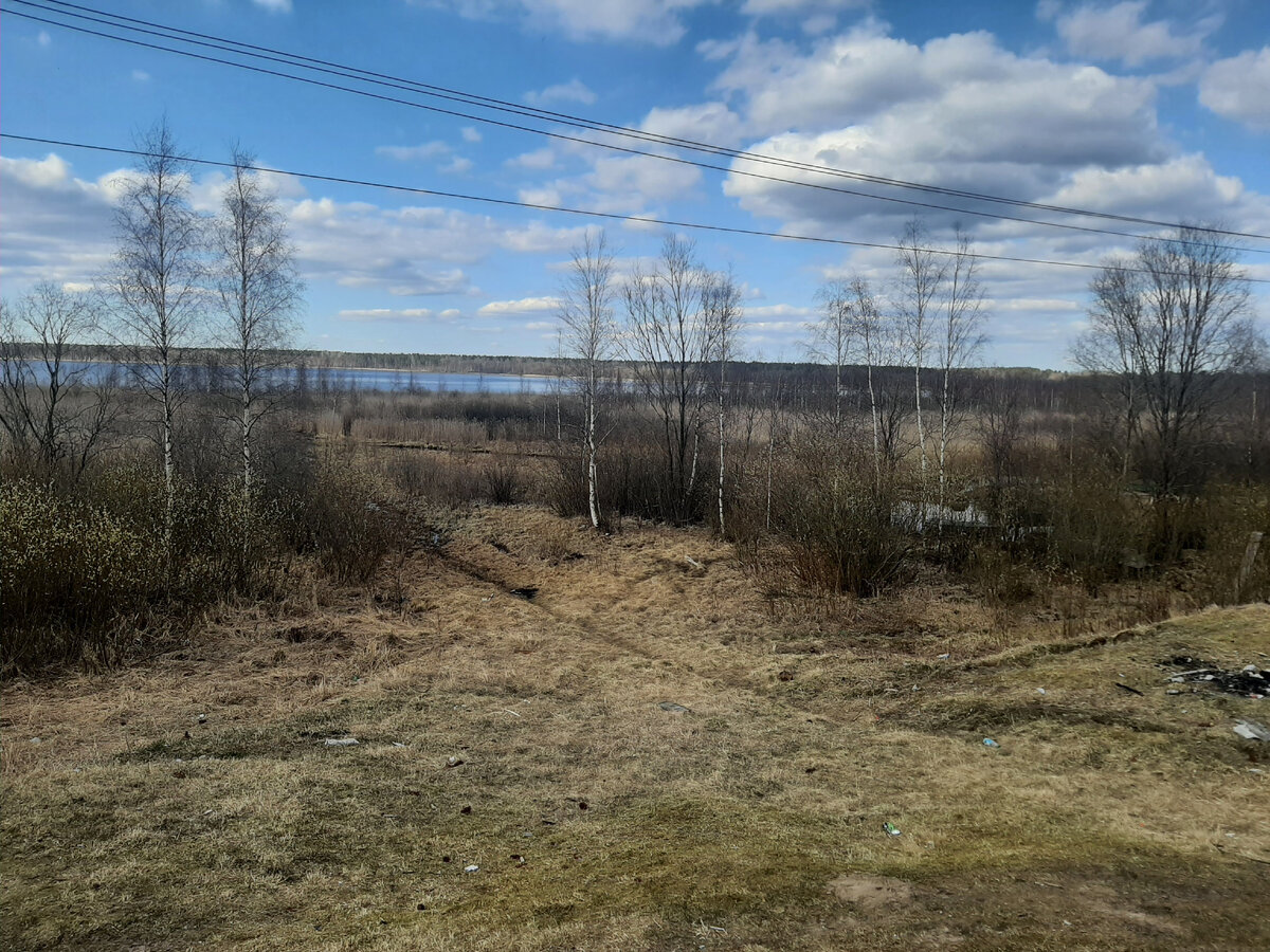 Не слышно пения птиц в городской суете: зачем нам мегаполисы | Дивный мир!  | Дзен