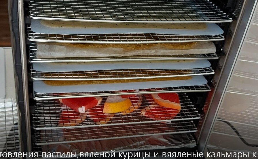 курица в дегидраторе. вяленые куриные джерки. курица в дегидраторе. вяленая курица в сушилке название. мясные чипсы в сушилке для овощей.