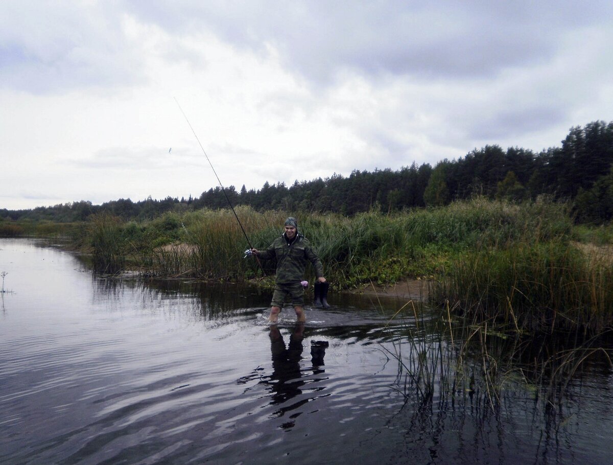 Даже на фоне тростника человек уже сливается...