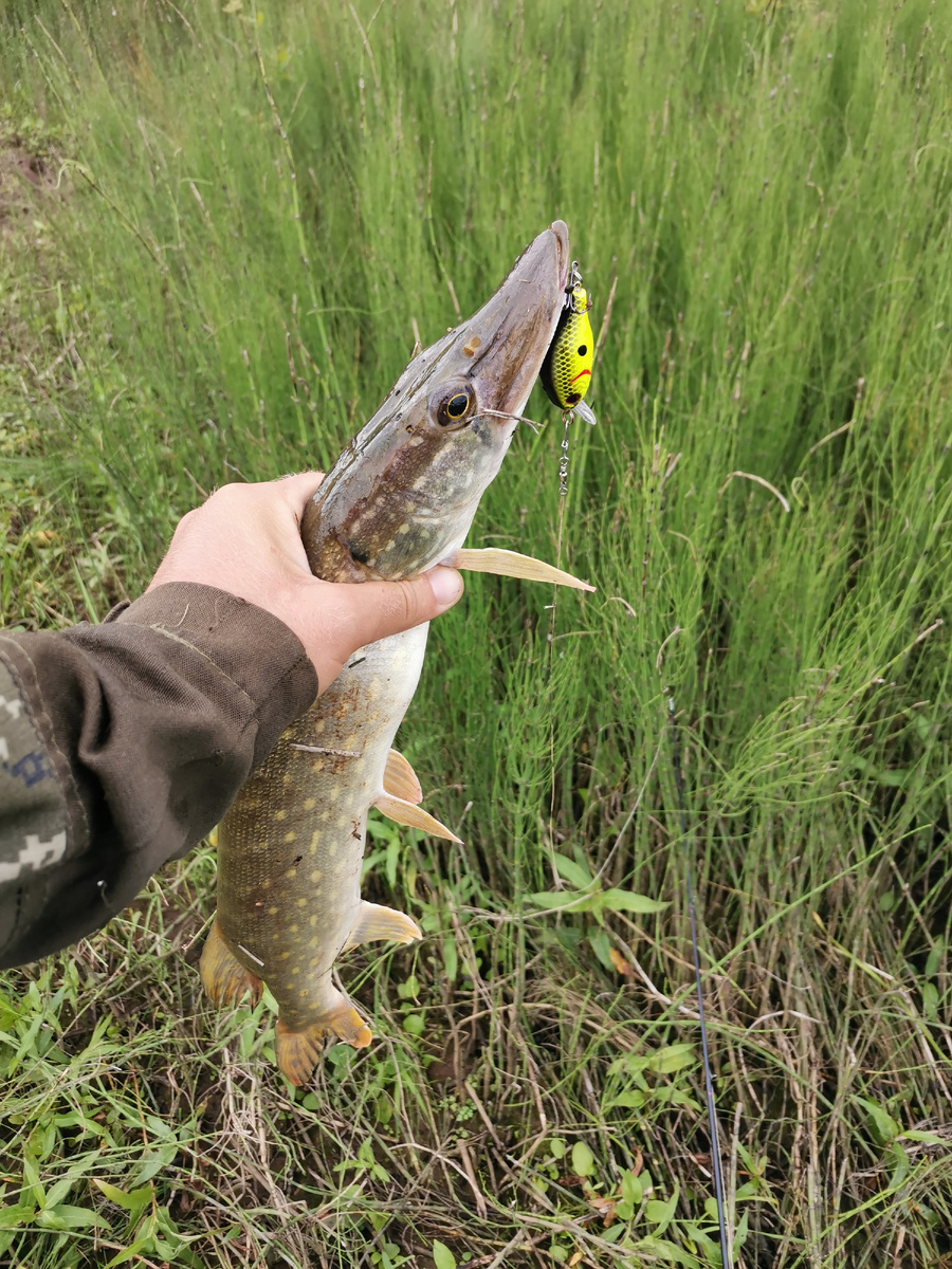 Длина: 5,5 см., Вес: 9 гр., Заглубление: 0,5 - 1,5 м., Тип плавучести: Floating