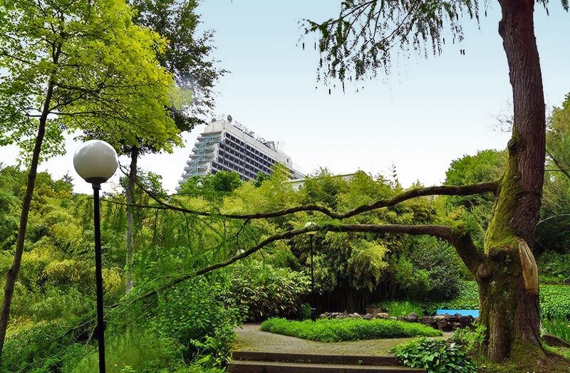 Санаторий белые ночи сочи. Санаторий белые ночи в городе сочи. Сочи). Санаторий белые ночи дагомыс. Санаторий белые ночи в городе сочи.