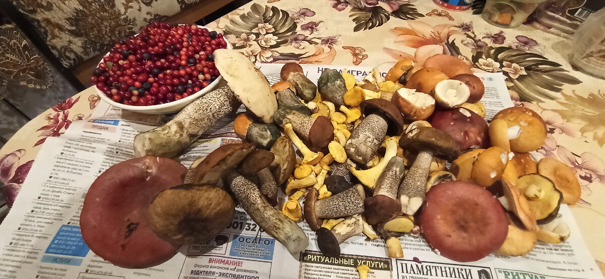 Наша лесная добыча