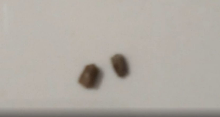 Очень невкусный сорняк в гречке